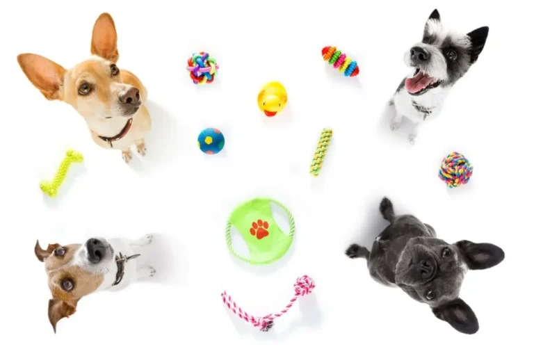 🐾🌟 2024 Pet Product Sourcing: Discover Top Trends in Toys, Beds, Feeders, Collars & More!🌟🐾